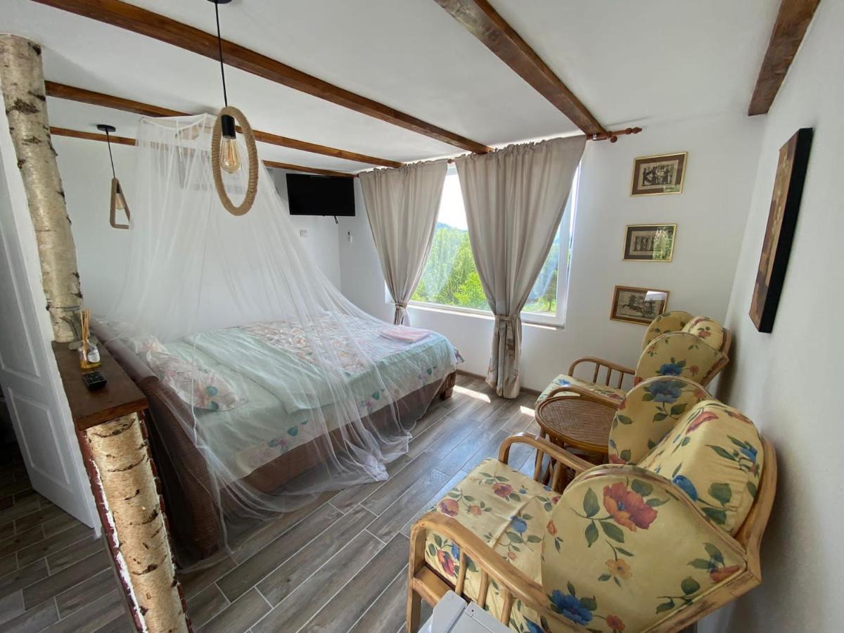 Casutele Verzi Din Camping