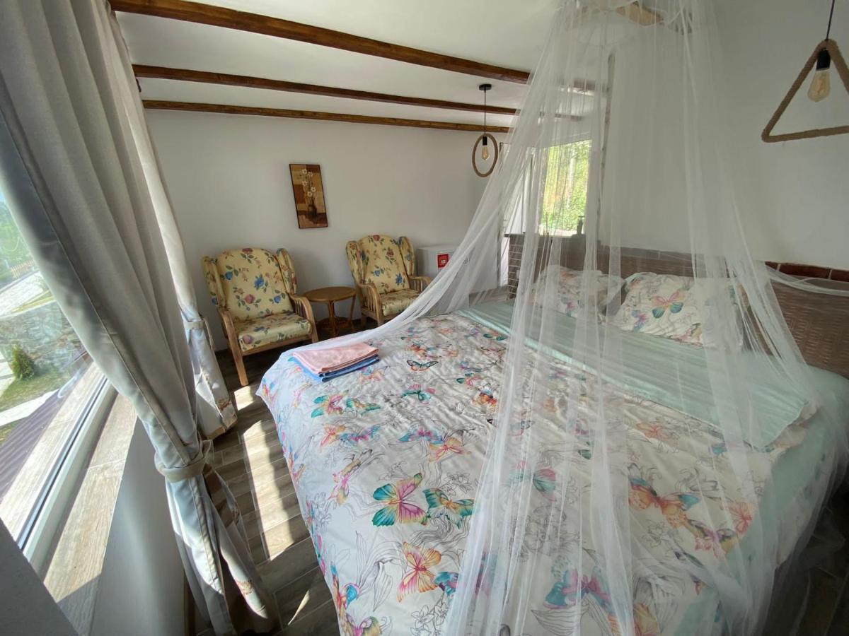 Camping Casutele Verzi Din