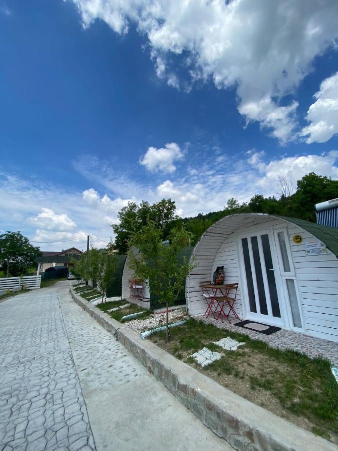 Casutele Verzi Din