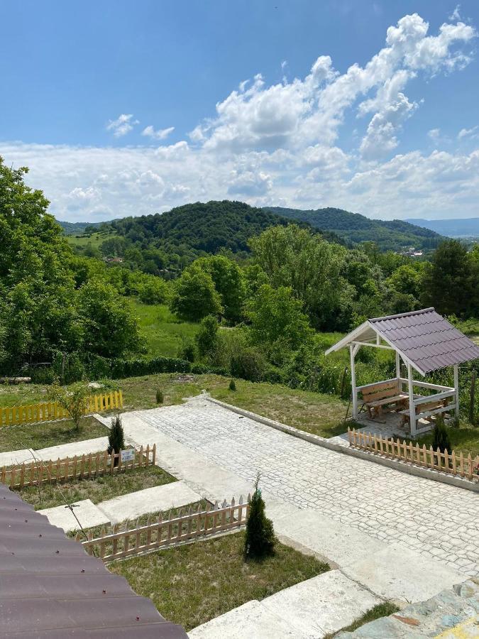 Casutele Verzi Din Camping *