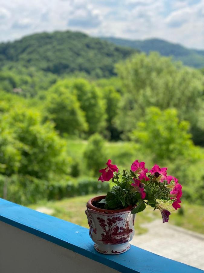Casutele Verzi Din Camping Ocnele Mari