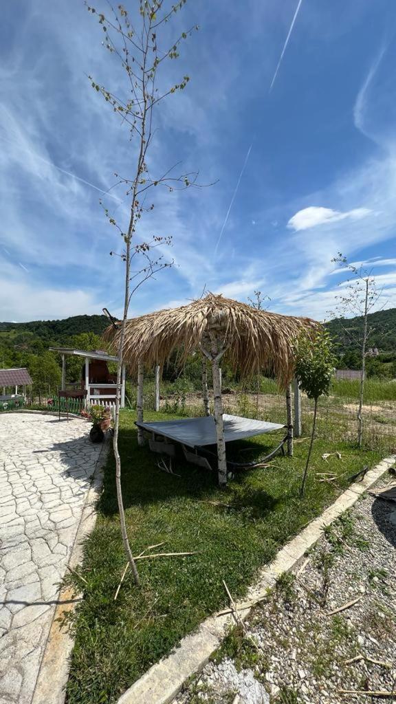Casutele Verzi Din Camping Ocnele Mari